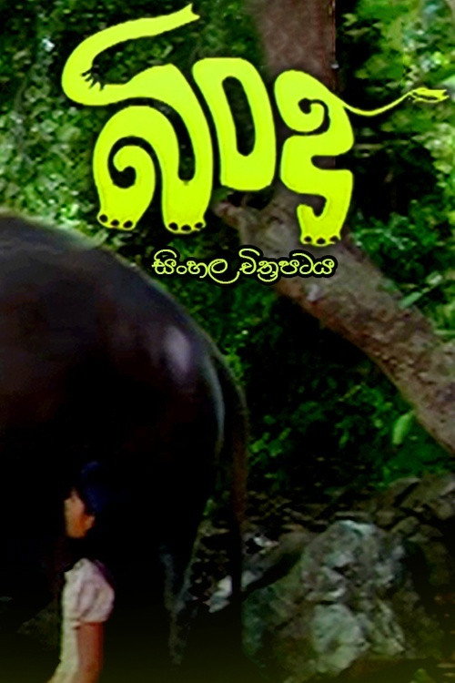 Movie poster for Bindu (2009)