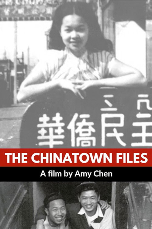 Movie poster for The Chinatown Files (2001)
