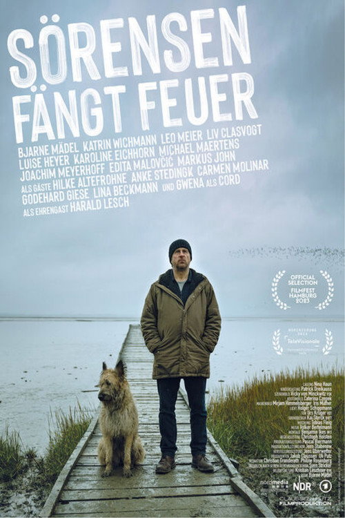 Movie poster for Sörensen Catches Fire (2023)
