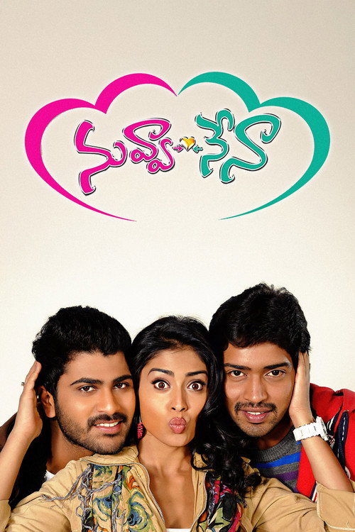 Movie poster for Nuvva Nena (2012)