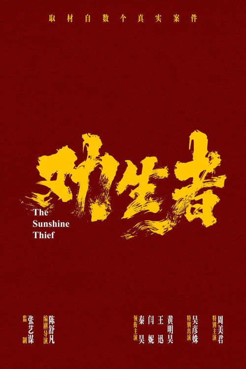 Movie poster for Sunshine Thief