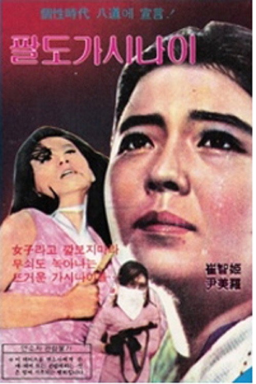 Movie poster for Girls from Eight Provinces (1970)