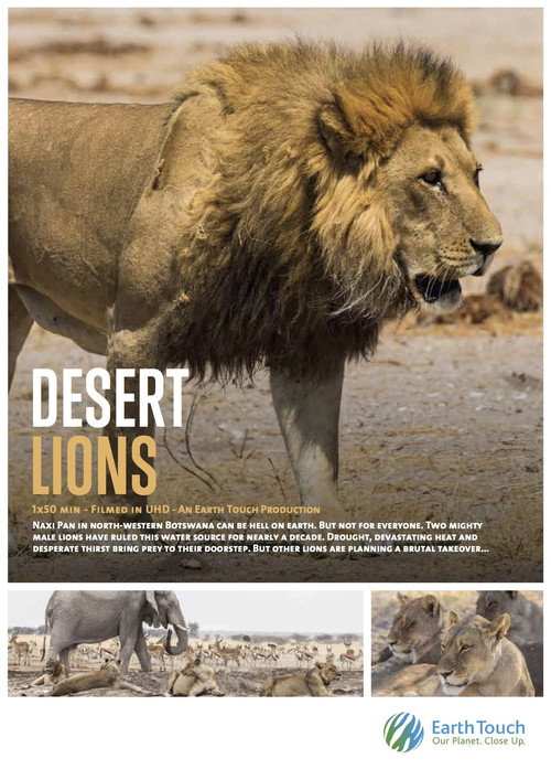 Movie poster for Desert Lions (2017)