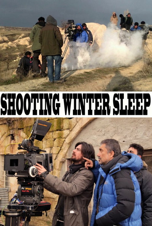 Movie poster for A Long Cold Winter (2014)