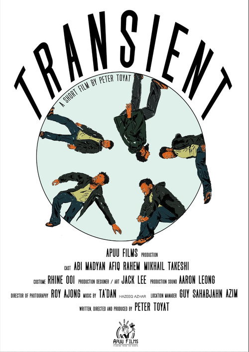 Movie poster for Transient (2024)
