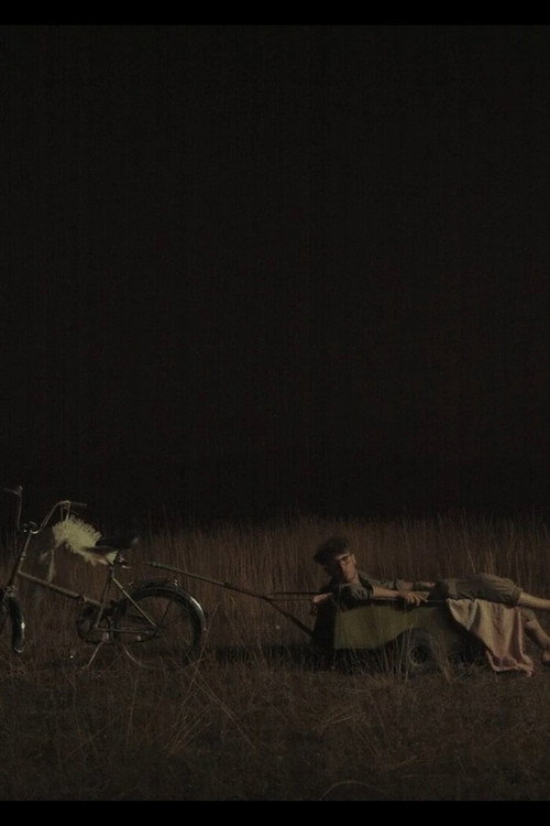 Movie poster for Bátyám, Dodo (2024)