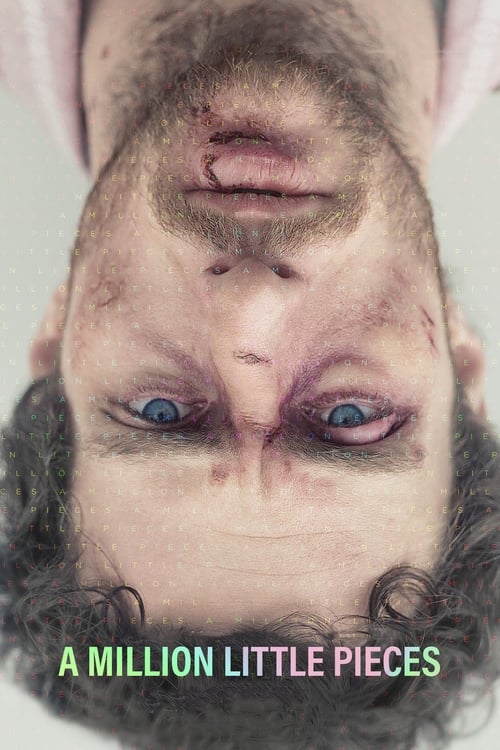 Movie poster for A Million Little Pieces (2019)