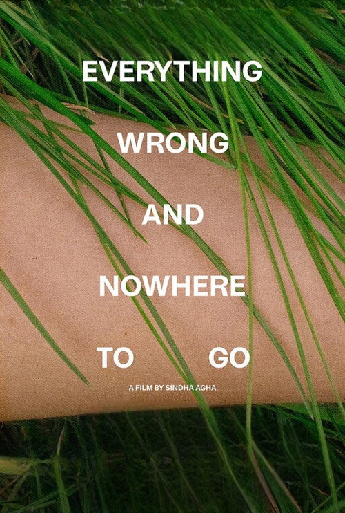 Movie poster for Everything Wrong and Nowhere to Go (2022)