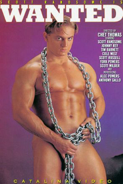 Movie poster for Wanted (1994)