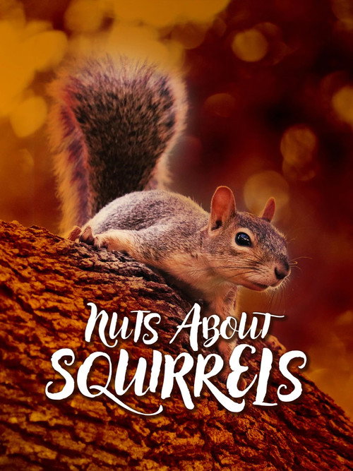 Movie poster for Nuts About Squirrels (2022)