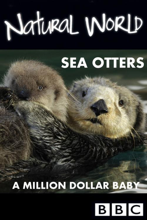 Movie poster for Sea Otters: A Million Dollar Baby (2010)