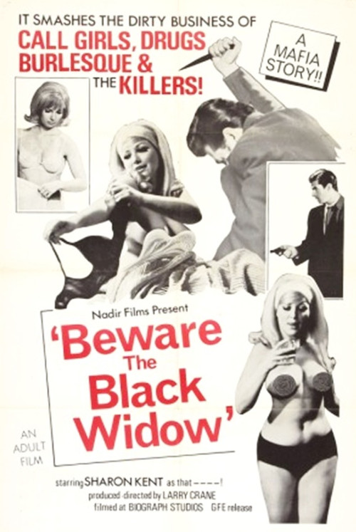 Movie poster for Beware the Black Widow (1968)