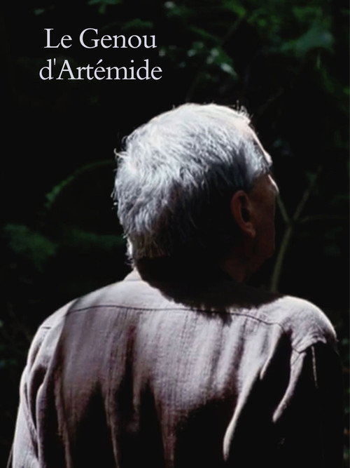 Movie poster for Artemide’s Knee (2008)