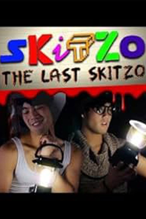 Movie poster for The Last Skitzo! (2015)
