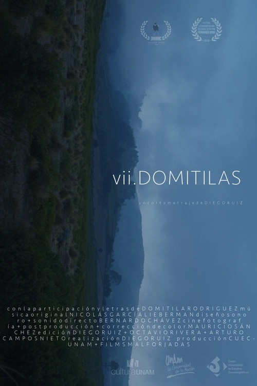 Movie poster for VII Domitilas (2020)
