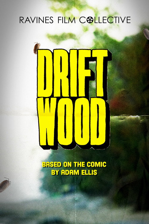 Movie poster for Driftwood (2024)