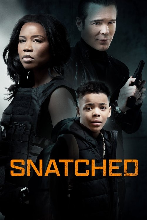 Movie poster for Snatched (2024)