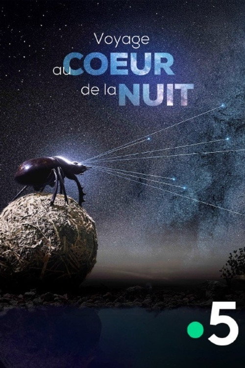 Movie poster for Voyage Au Coeur De La Nuit (2025)