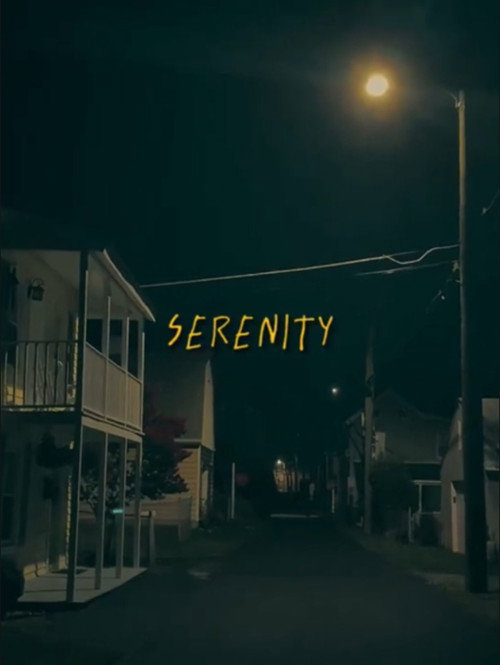 Movie poster for Serenity (2023)