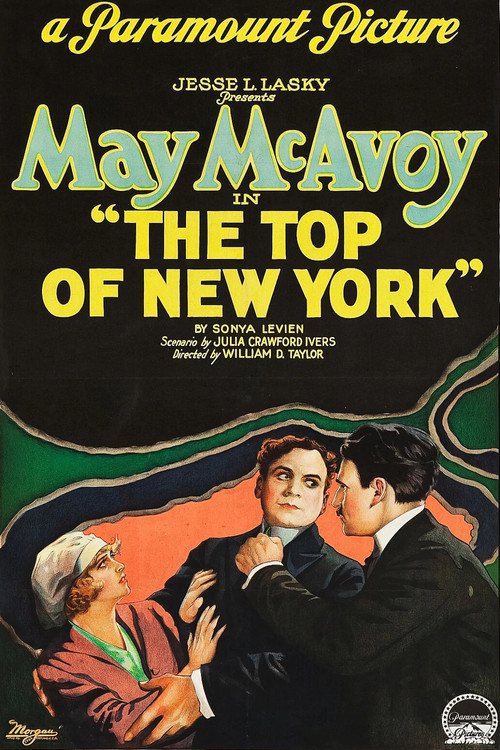 Movie poster for The Top of New York (1922)