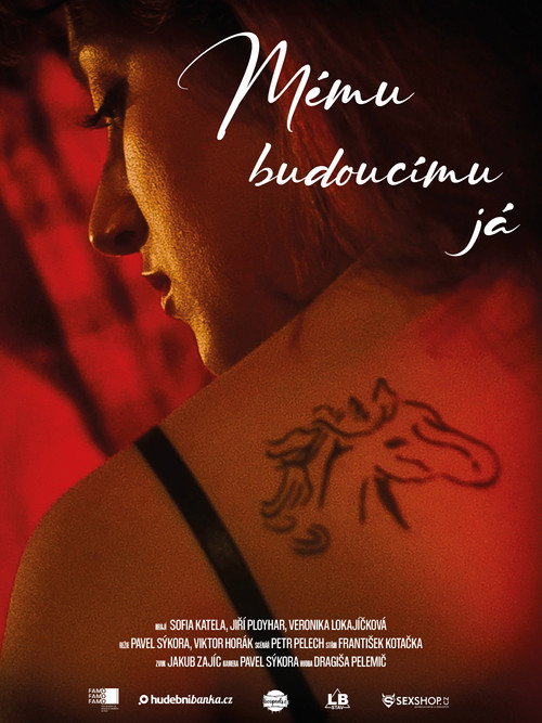 Movie poster for Mému budoucímu já