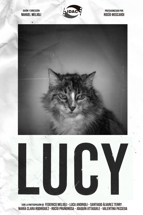 Movie poster for LUCY