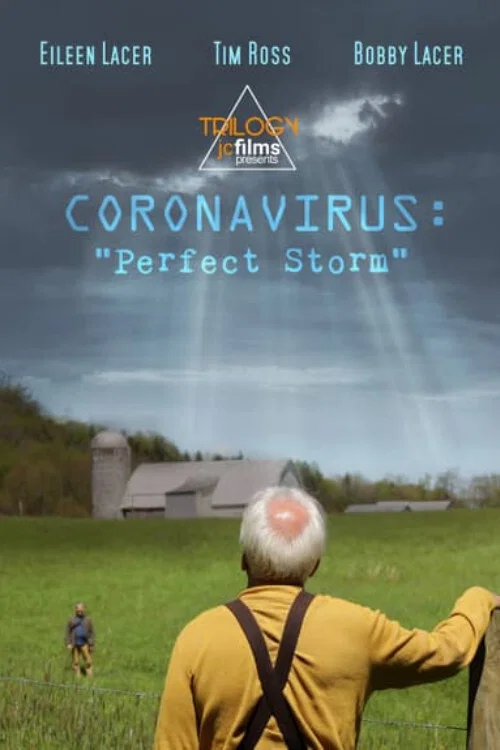 Movie poster for Coronavirus: Perfect Storm (2020)