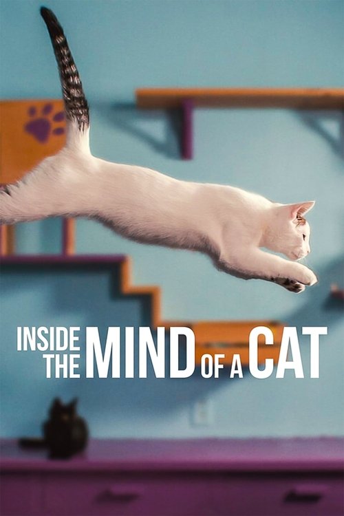 Movie poster for Inside the Mind of a Cat (2022)