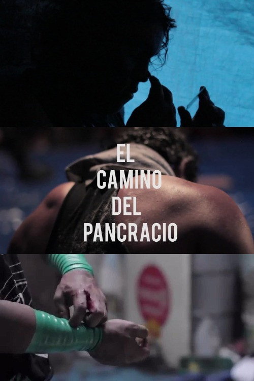 Movie poster for El camino del Pancracio (2015)