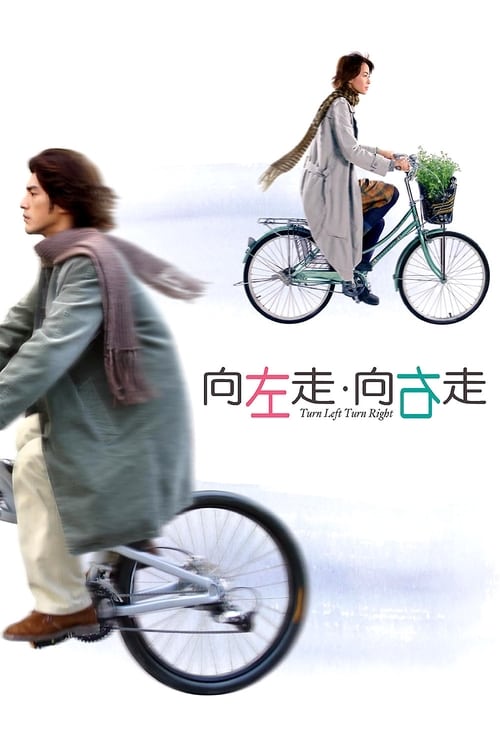 Movie poster for Turn Left, Turn Right (2003)