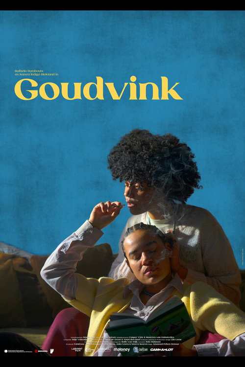 Movie poster for Goudvink (2024)