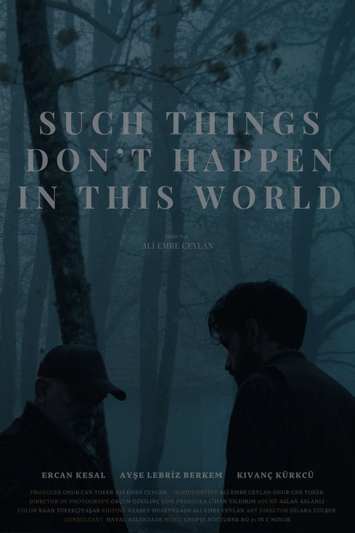 Movie poster for Such Things Don’t Happen in This World (2024)