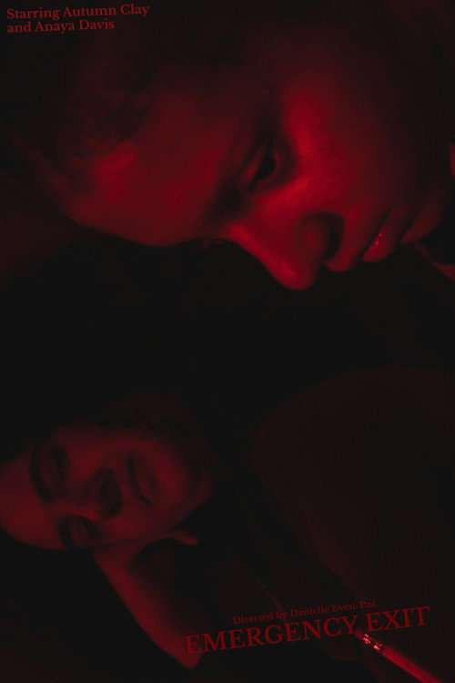 Movie poster for Emergency Exit (2026)