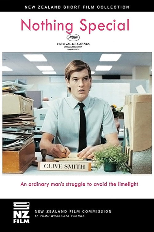 Nothing Special poster