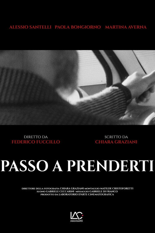 Movie poster for PASSO A PRENDERTI (2024)