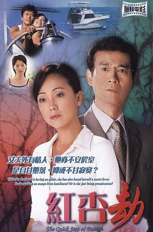 Movie poster for The Quick Step of Passion (2004)