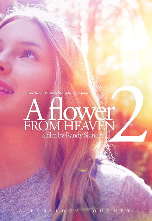 Movie poster for A Flower from Heaven 2: A Perilous Journey (2017)
