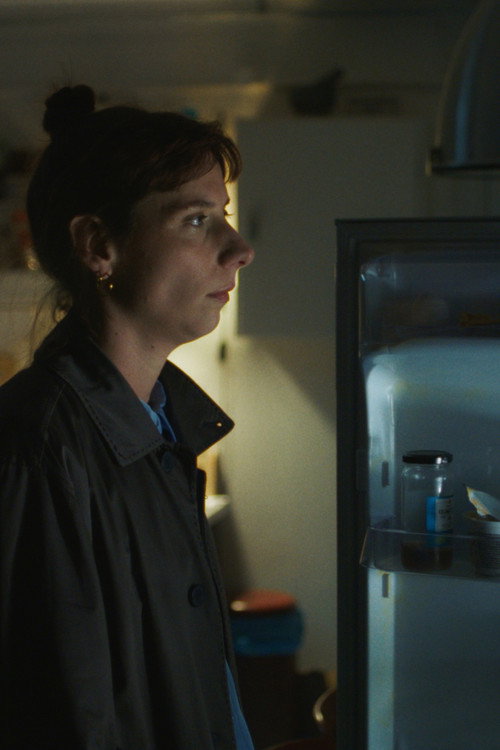 Movie poster for Anna’s Freezer (2025)