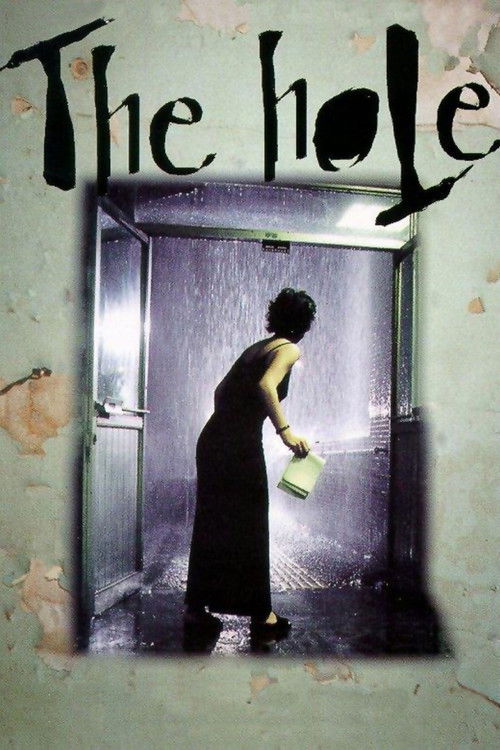 Movie poster for The Hole (1999)