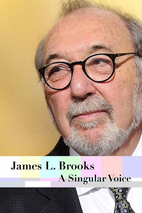 Movie poster for James L. Brooks: A Singular Voice (2011)