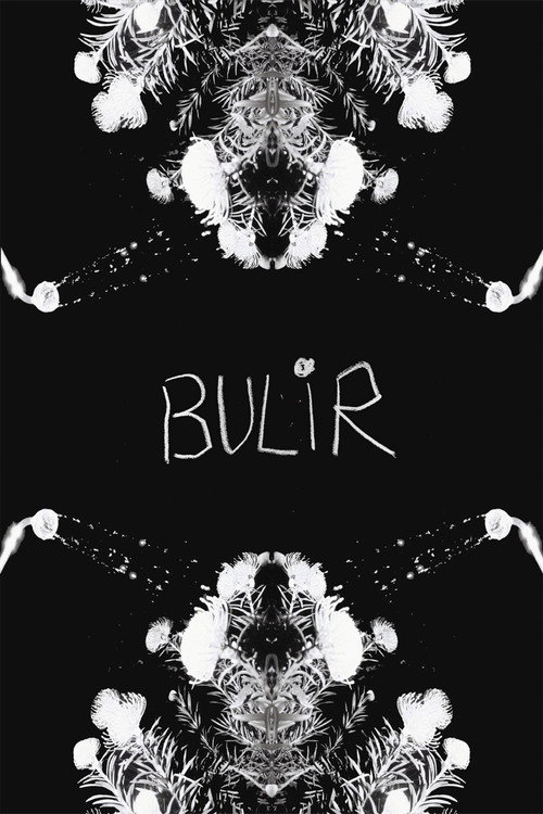 Movie poster for BULIR (2024)