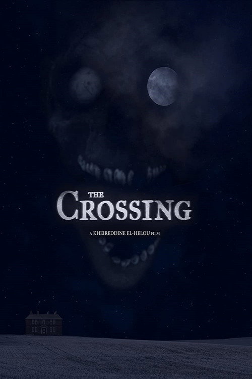 Movie poster for The Crossing (2020)