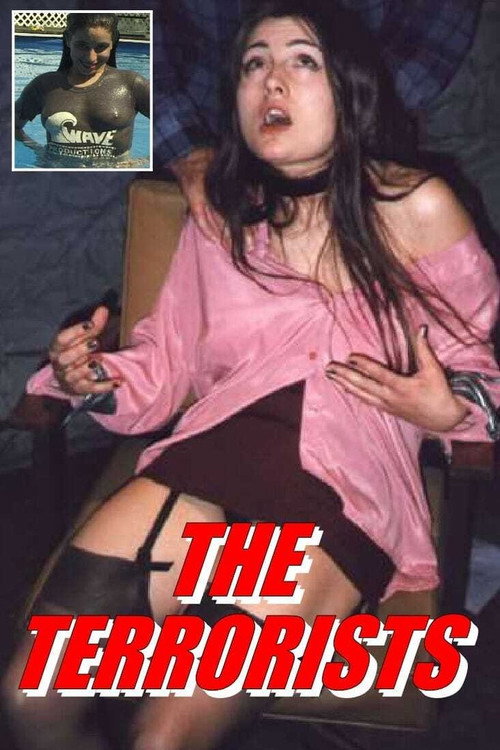 Movie poster for The Terrorists (1998)