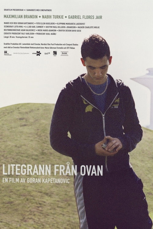 Movie poster for From Above (2007)