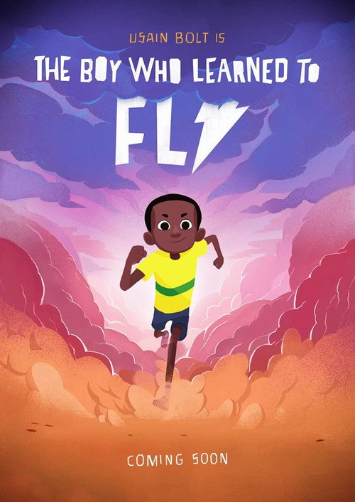 Movie poster for The Boy who Learned to Fly (2015)