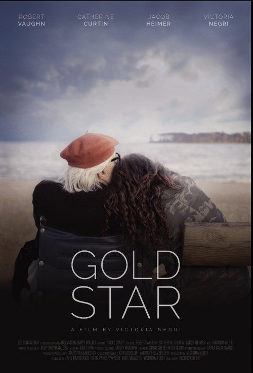 Movie poster for Gold Star (2016)