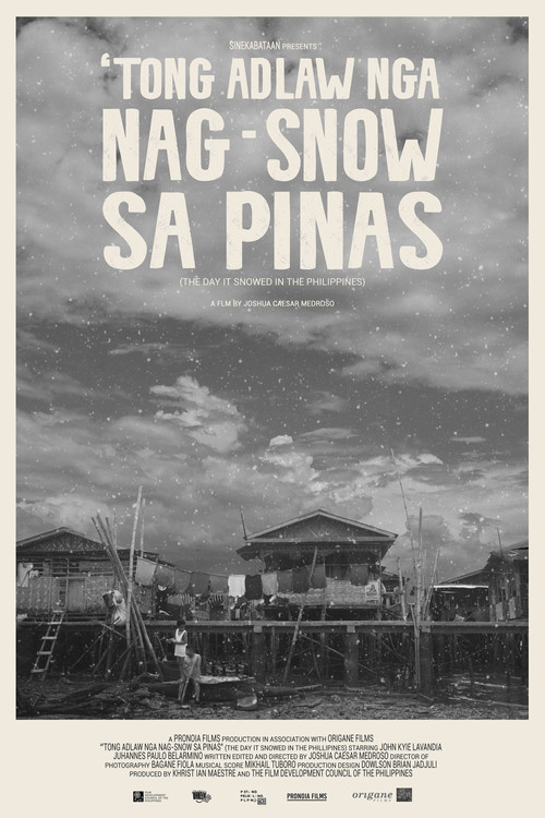 Movie poster for The Day It Snowed in the Philippines (2022)