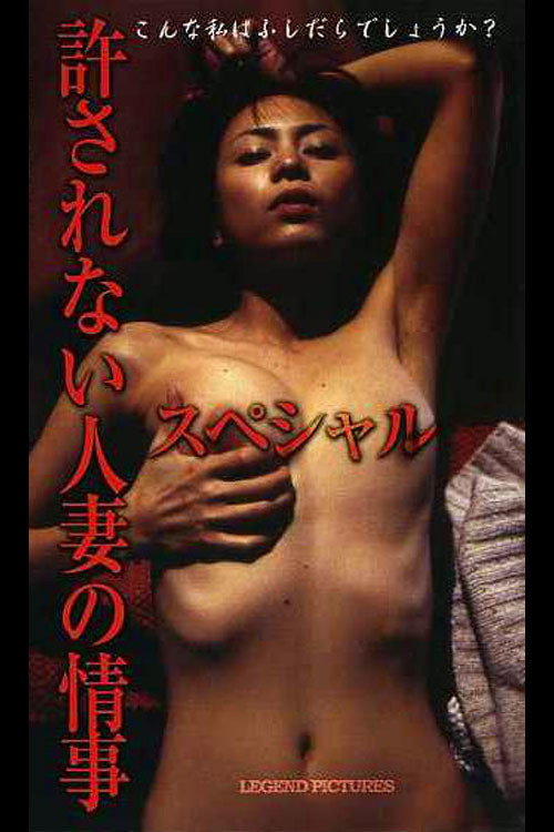 Movie poster for Unacceptable Married Love Affair Special (2003)