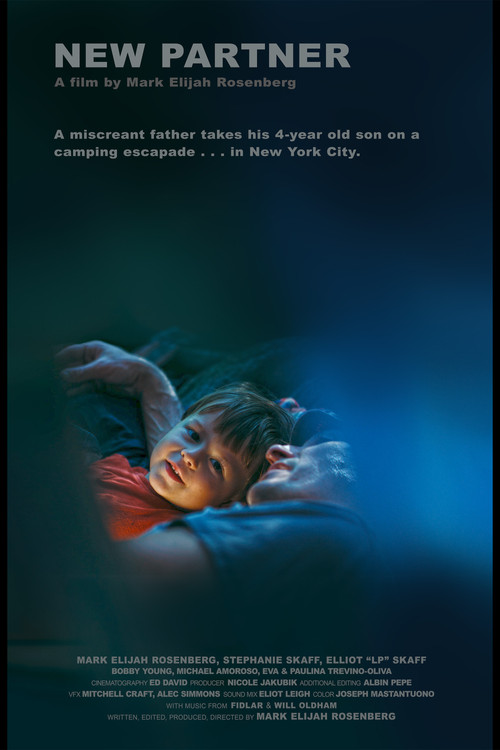 Movie poster for New Partner (2025)