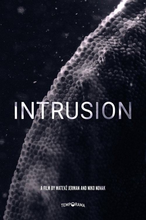 Movie poster for Intrusion (2021)